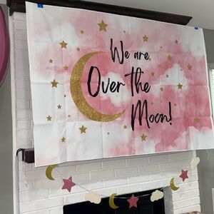 Pink and Gold Moon Party Backdrop